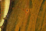 Marra Mamba Tiger's Eye Slab - Mt Brockman ( Billion Years) #161940-1